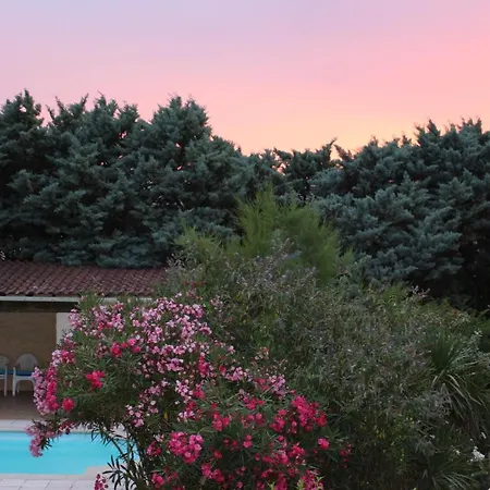 Domaine De Molya Bed & Breakfast Allan